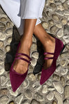 Pointed Toe Ballet Flats with Double Strap