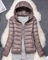 Waterproof Jacket